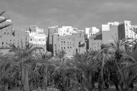 P0306680.jpg