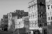 P0306664.jpg