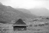 P0306642.jpg