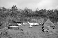 P0306620.jpg