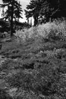 P0305700.jpg