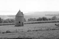 P0305470.jpg