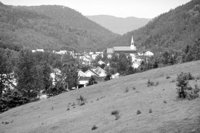 P0305463.jpg