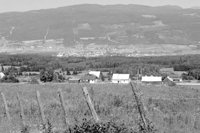 P0305420.jpg