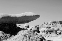 P0305265.jpg