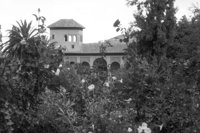 P0305072.jpg