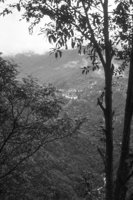 P0304765.jpg