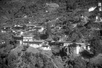 P0304764.jpg