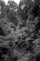 P0304757.jpg