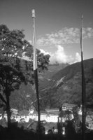 P0304751.jpg
