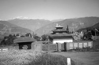 P0304744.jpg