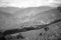P0304740.jpg