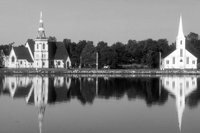 P0304459.jpg