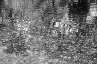 P0304445.jpg