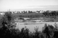P0303400.jpg