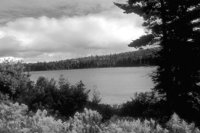 P0303370.jpg