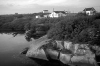 P0303364.jpg