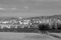 P0303354.jpg