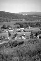 P0303350.jpg