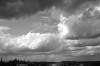 P0303283.jpg