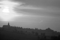 P0302785.jpg