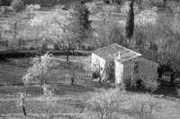 P0302725.jpg
