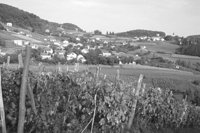 P0302700.jpg