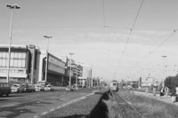 P0302685.jpg