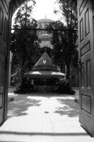 P0302345.jpg