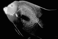 P0302131.jpg