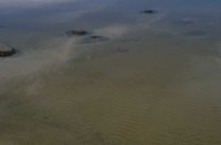 P0106520.jpg