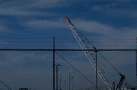P0103447.jpg