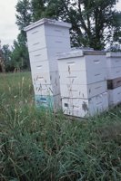 010712_0845_0047_nsls.jpg