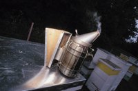 010712_0845_0013_nsls.jpg