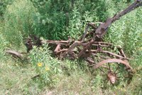 010709_0842_0075_nsls.jpg