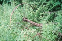 010709_0842_0074_nsls.jpg