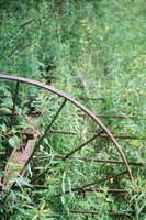 010709_0842_0073_nsls.jpg