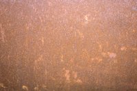 010709_0842_0041_nsls.jpg