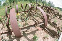 010709_0842_0013_nsls.jpg
