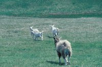 010309_0801_0698_nsls.jpg