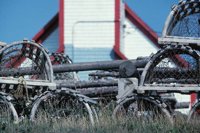 010309_0801_0690_nsls.jpg