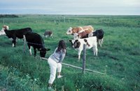 010309_0801_0681_nsls.jpg