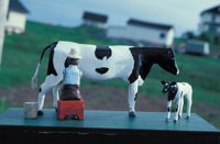 010309_0801_0644_nsls.jpg