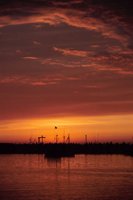 010309_0801_0263_nsls.jpg