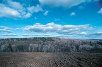 010309_0801_0131_nsls.jpg
