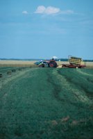 010309_0801_0130_nsls.jpg