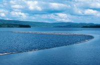 010309_0801_0097_nsls.jpg