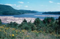 010309_0801_0095_nsls.jpg