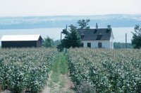 010309_0801_0082_nsls.jpg