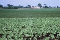 010309_0801_0078_nsls.jpg